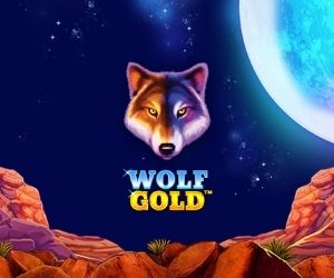 Wolf Gold na prawdziwe pieniądze