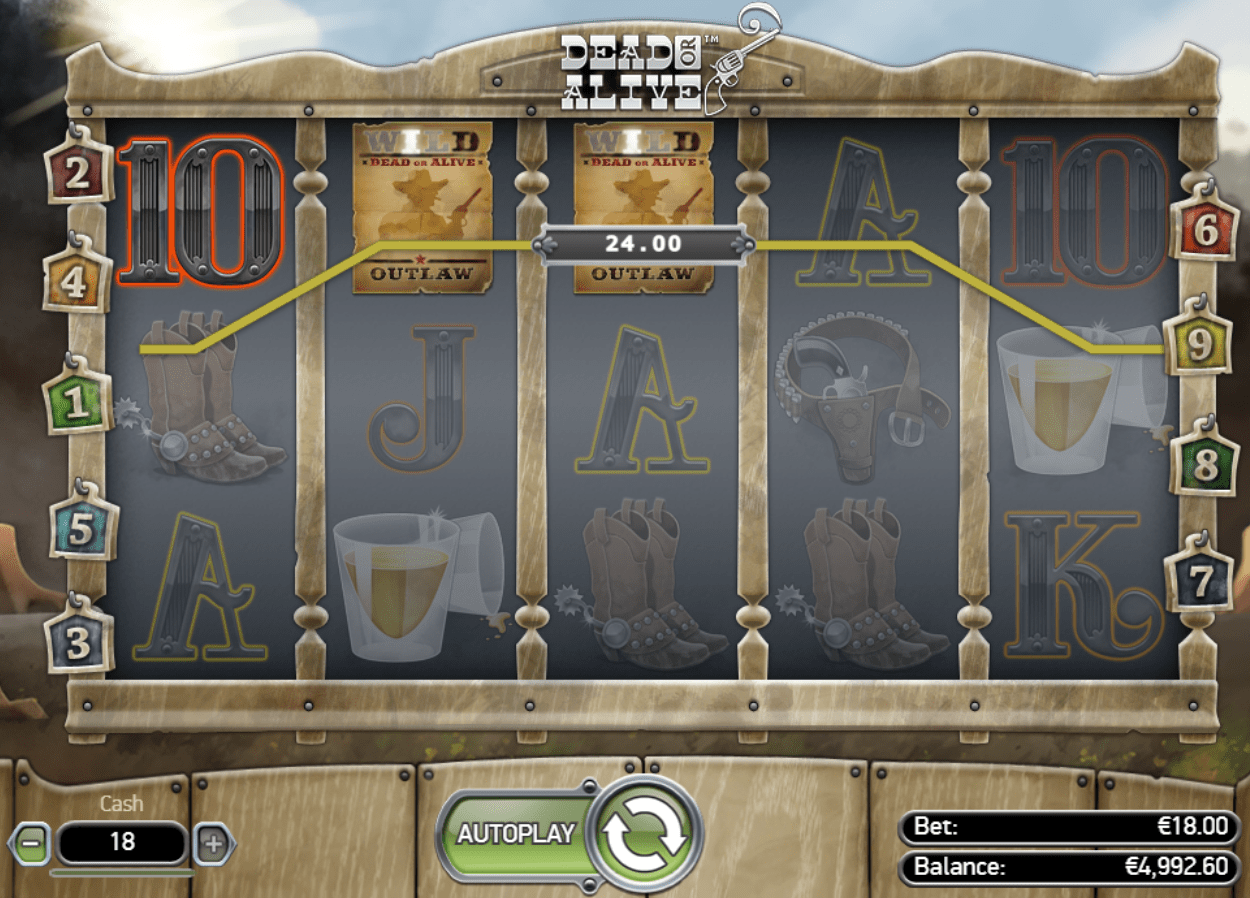 gra w slocie Dead or Alive